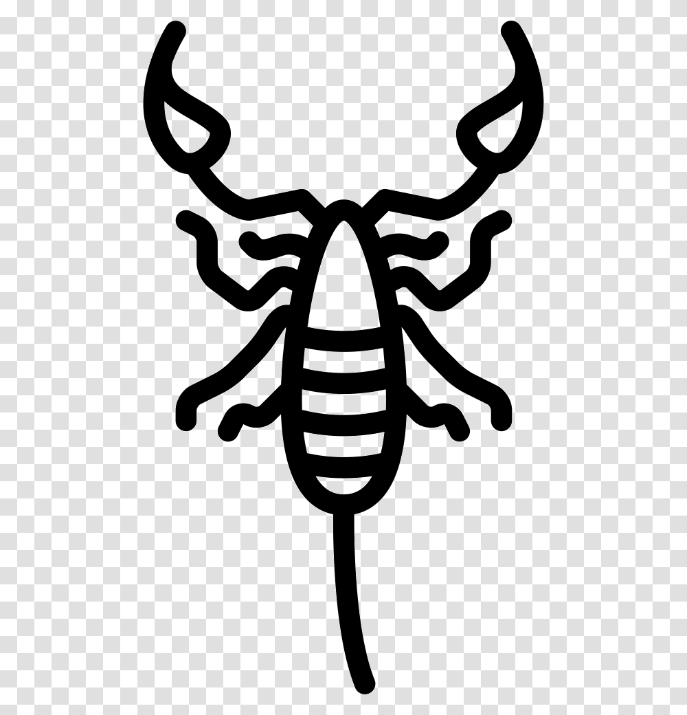 Big Scorpio Icon Free Download, Stencil, Invertebrate, Animal, Insect Transparent Png