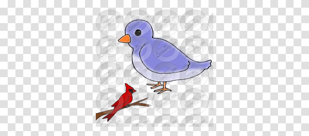 Big Small Bird Picture For Classroom Therapy Use Great Small And Big Bird Clipart, Animal, Nature, Outdoors, Jay Transparent Png