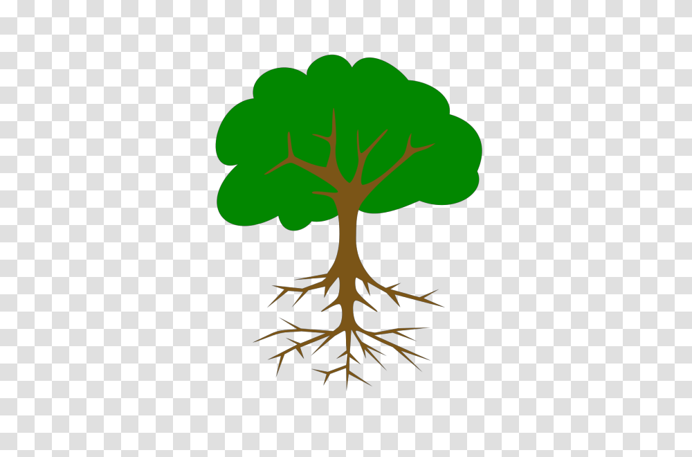 Big Tree Clipart Apple Tree With Roots, Plant, Flower, Blossom,  Transparent Png