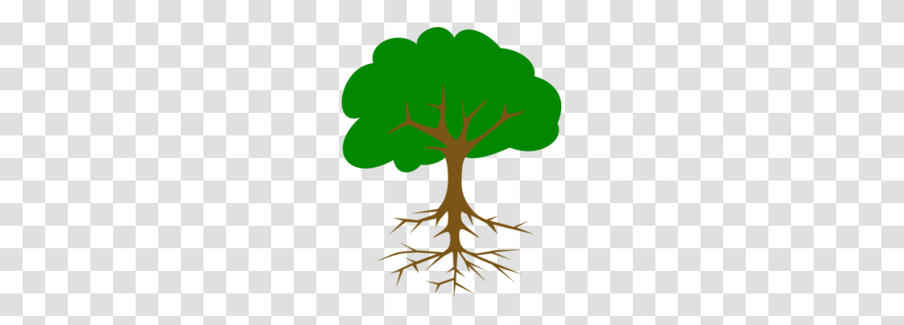 Big Tree Clipart, Root, Plant Transparent Png