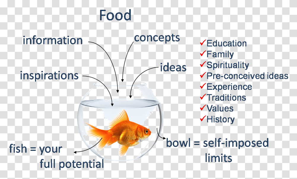 Bigfish Slide Goldfish, Animal Transparent Png