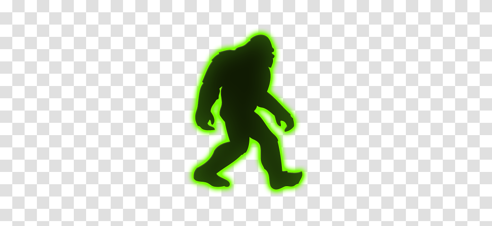 Bigfoot Expeditions In Chautauqua County New York, Person, Silhouette, People, Green Transparent Png