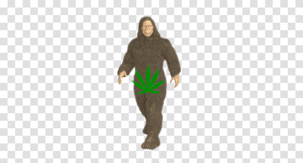 Bigfoot Modeling For Product Logo Canna Oils, Sleeve, Long Sleeve, Person Transparent Png