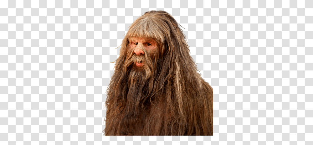 Bigfoot News Lunch Club Hyundai Canada Has A Chewbacca, Face, Person, Head, Hair Transparent Png