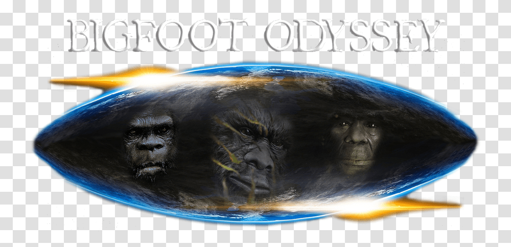 Bigfoot Odyssey Mountain Gorilla, Sphere, Outer Space, Astronomy, Mammal Transparent Png