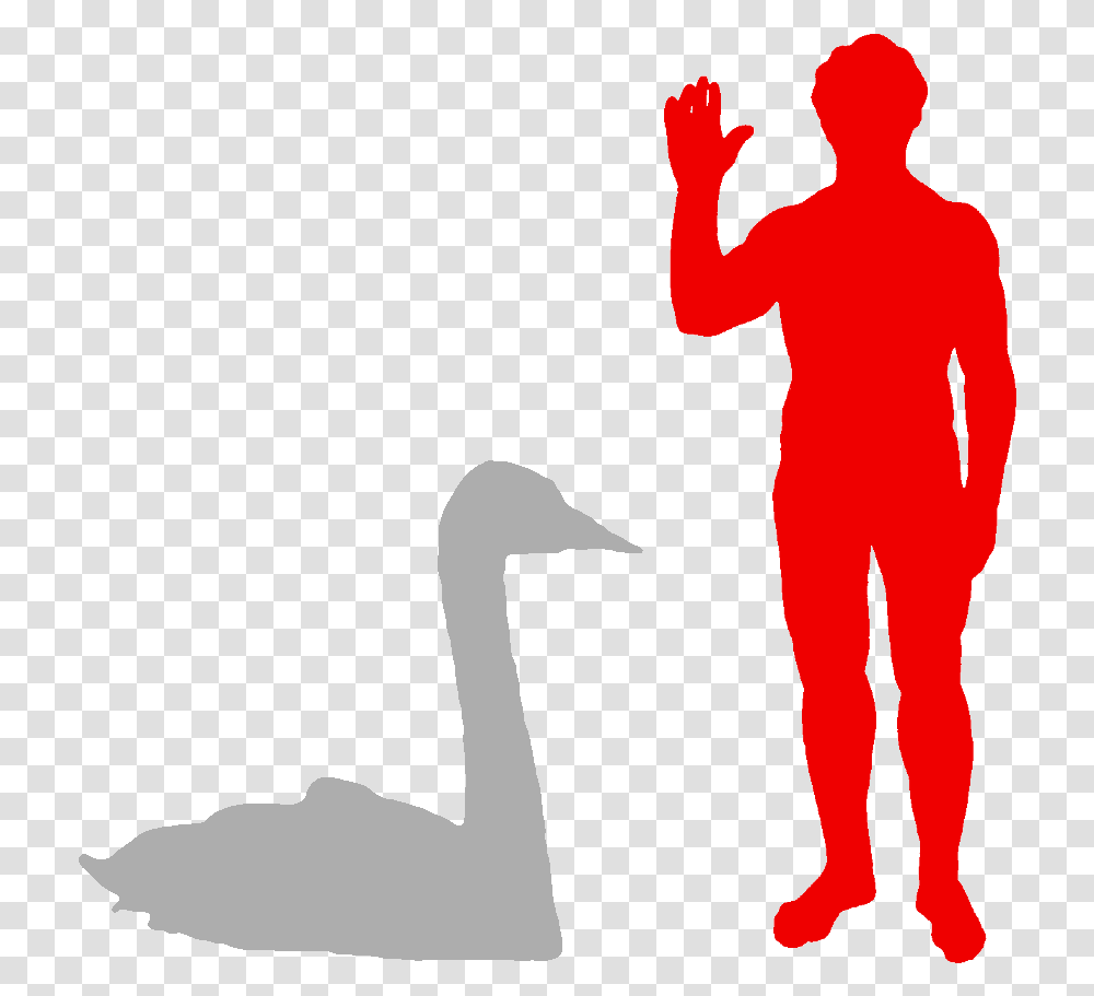 Biggest Owl Compared To Human, Person, Bird, Animal Transparent Png