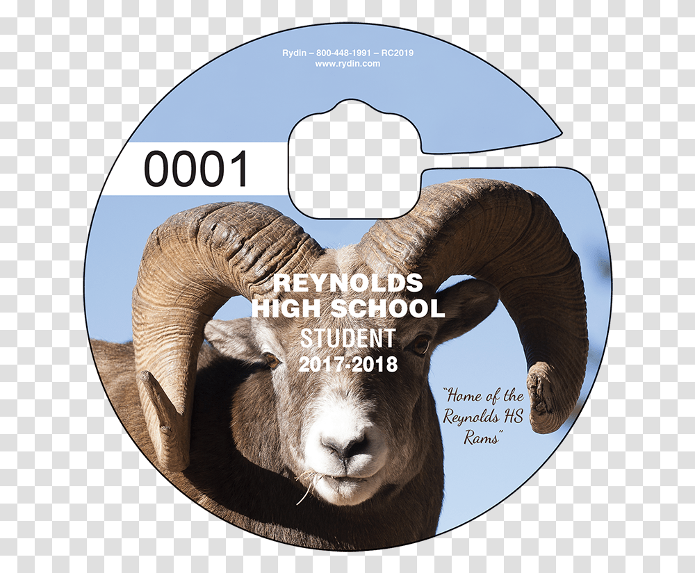Bighorn, Mammal, Animal, Sheep, Dvd Transparent Png