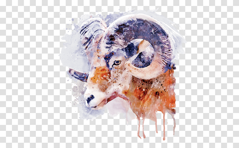 Bighorn Sheep Art, Animal, Cattle, Mammal, Cow Transparent Png