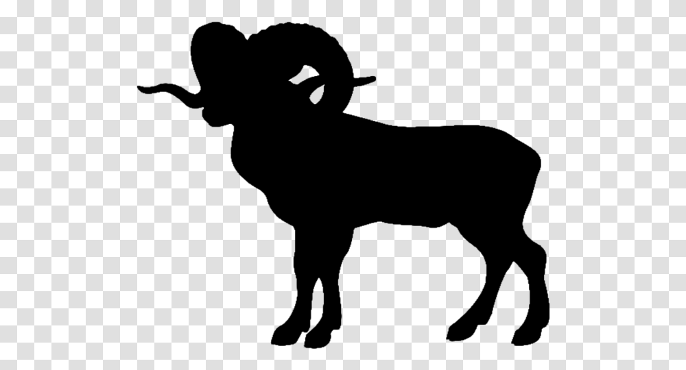 Bighorn Sheep Mountain Goat Ram Silhouette, Gray, World Of Warcraft Transparent Png