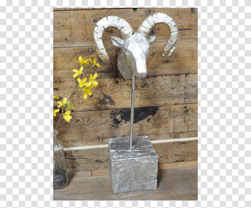 Bighorn, Wood, Plywood, Plant, Outdoors Transparent Png