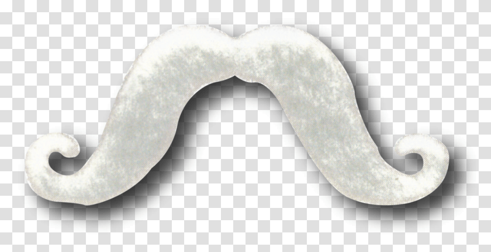 Bigote, Moon, Outer Space, Night, Astronomy Transparent Png