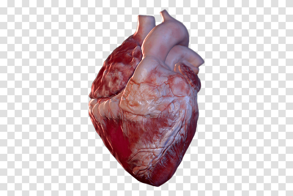 Bild Ist Nicht Verfgbar Heart Hololens 3d Model, Food, Chicken, Poultry, Fowl Transparent Png