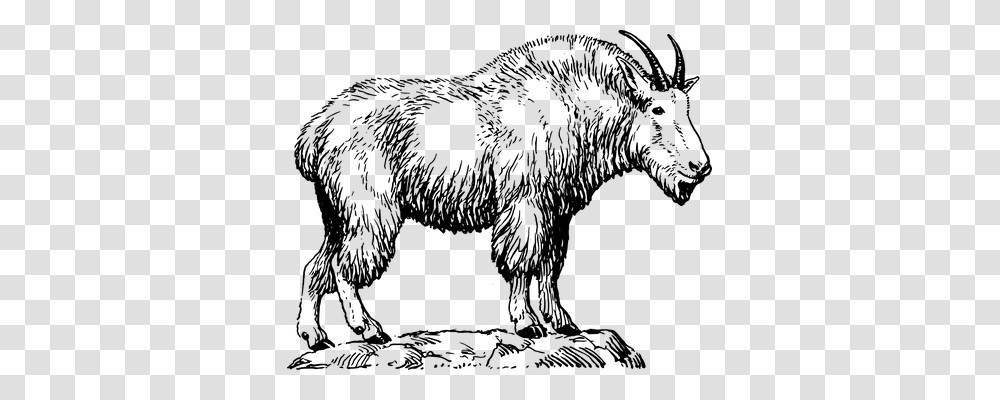Billy Goat Technology, Gray, World Of Warcraft Transparent Png