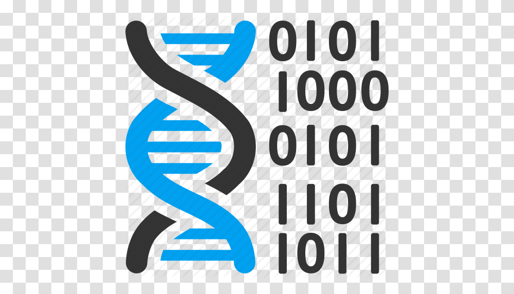 Binary Code Dna Structure Genetic Biology Genetic Engineering, Poster Transparent Png