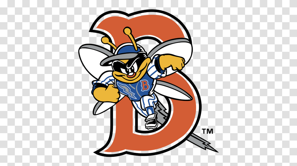 Binghamton Mets Logo, Ninja, Pirate Transparent Png
