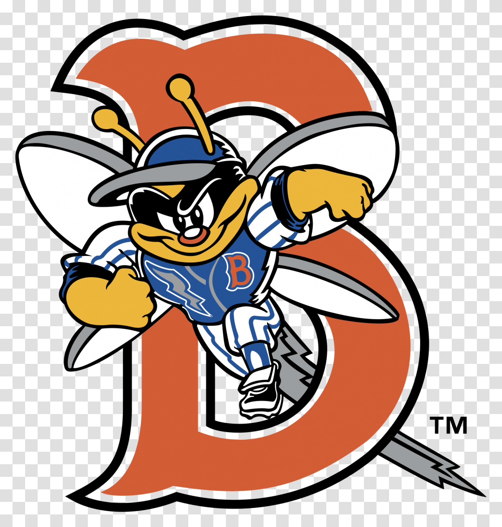 Binghamton Mets Logo, Pirate, Paintball, Apparel Transparent Png
