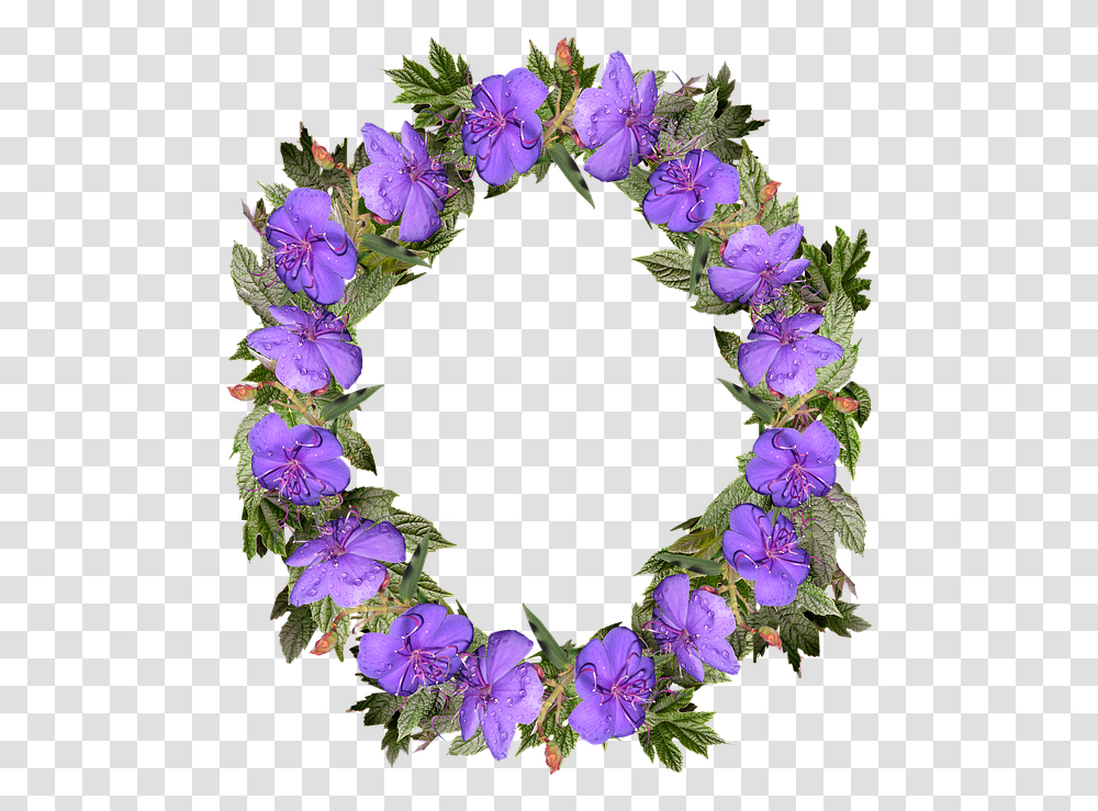 Bingkai Daun Hijau Melingkar, Geranium, Flower, Plant, Blossom Transparent Png