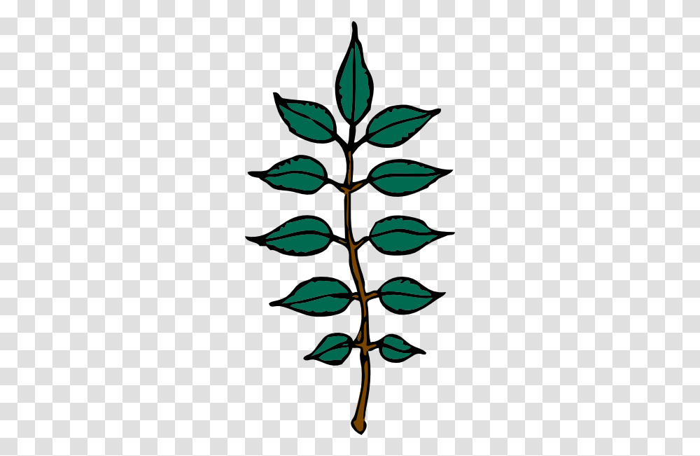 Bio Clipart Ash Tree, Leaf, Plant, Green, Pattern Transparent Png