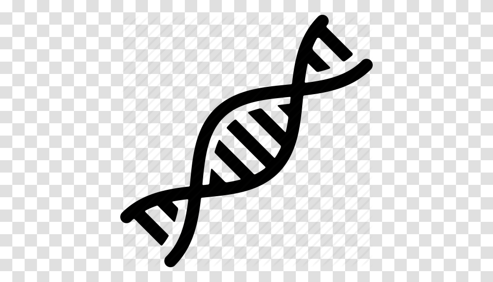 Biochemistry Dna Genetic Genome Helix Research Strand Icon, Racket, Tennis Racket, Chair, Furniture Transparent Png