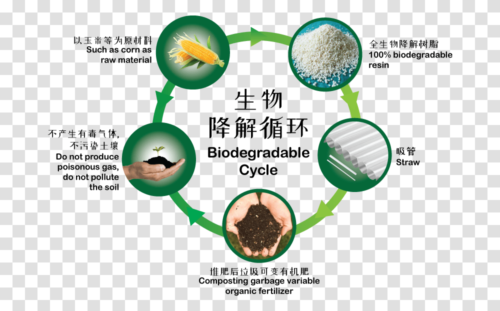 Biodegradable Cycle, Plant, Food, Glasses, Accessories Transparent Png