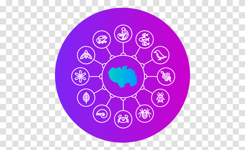 Biodiversity Circle, Purple, Sphere, Rug, Light Transparent Png