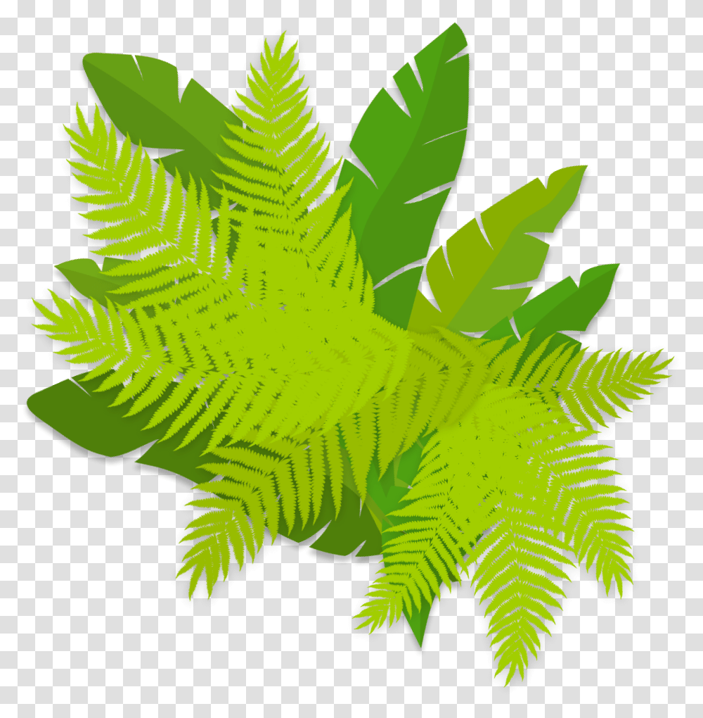 Biodiversity Vertical, Plant, Fern, Leaf, Green Transparent Png
