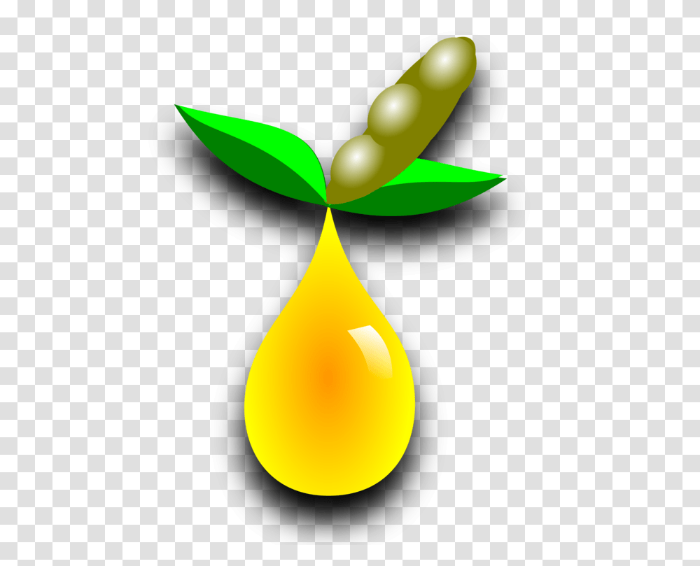 Biofuel Biodiesel Biomass Download Energy Development Free, Droplet, Lamp, Plant Transparent Png