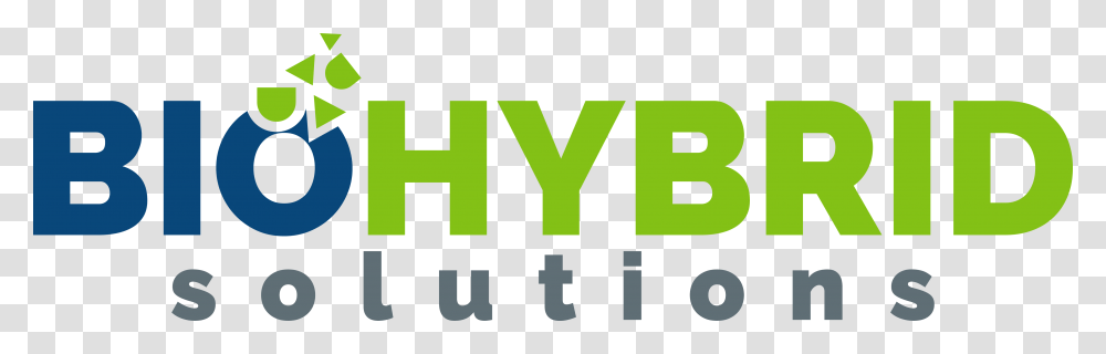 Biohybrsolutions Logo Graphic Design, Trademark, Word Transparent Png