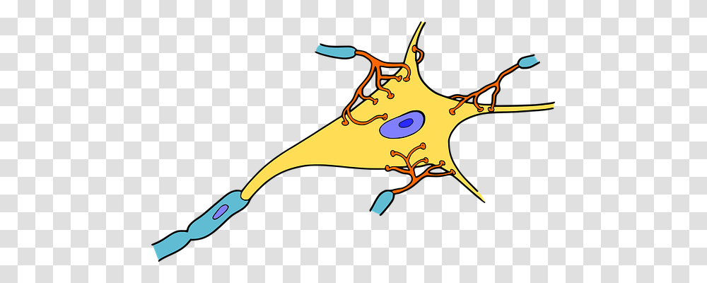 Biology Technology, Apparel, Animal Transparent Png