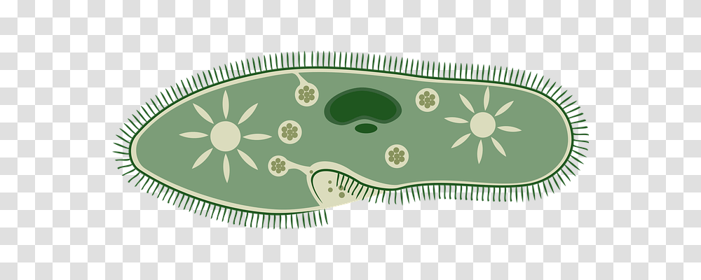 Biology Technology, Label, Plant Transparent Png