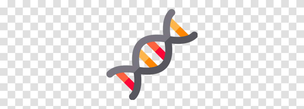 Biology Category, Cross, Slingshot, Goggles, Whistle Transparent Png