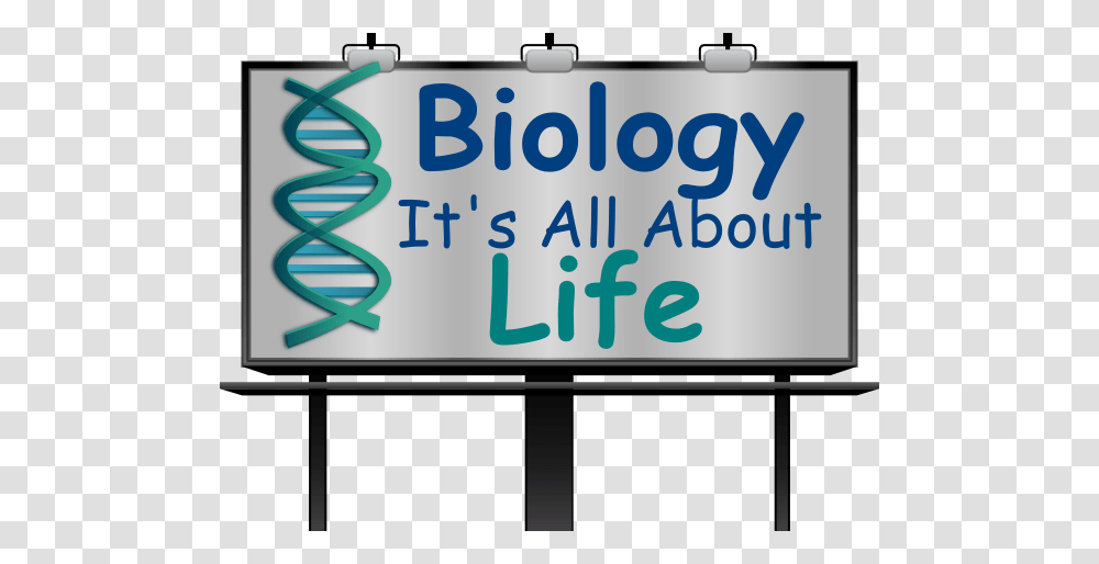 Biology Cliparts, White Board, Word Transparent Png