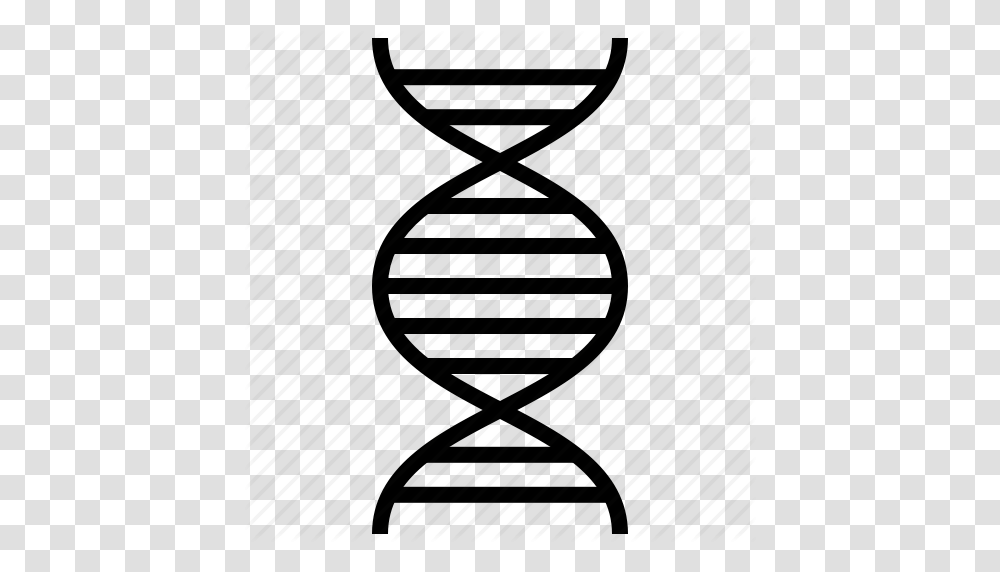 Biology Dna Dna Strand Hospital Medical Research Science Icon, Hourglass Transparent Png