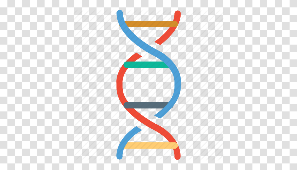 Biology Dna Dna Strand Science Icon, Alphabet, Number Transparent Png