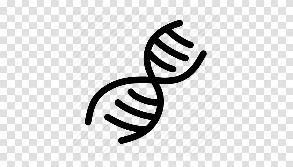 Biology Dna Double Helix Genetics Medical Science Icon, Piano, Drawing Transparent Png