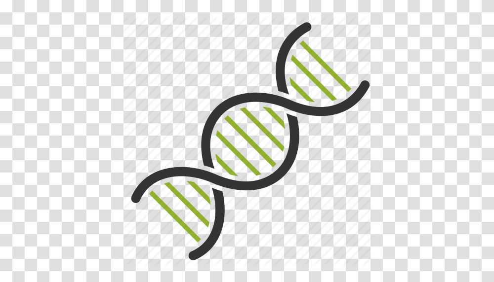 Biology Dna Genetic Genome Studing Icon, Cutlery, Fork, Racket Transparent Png