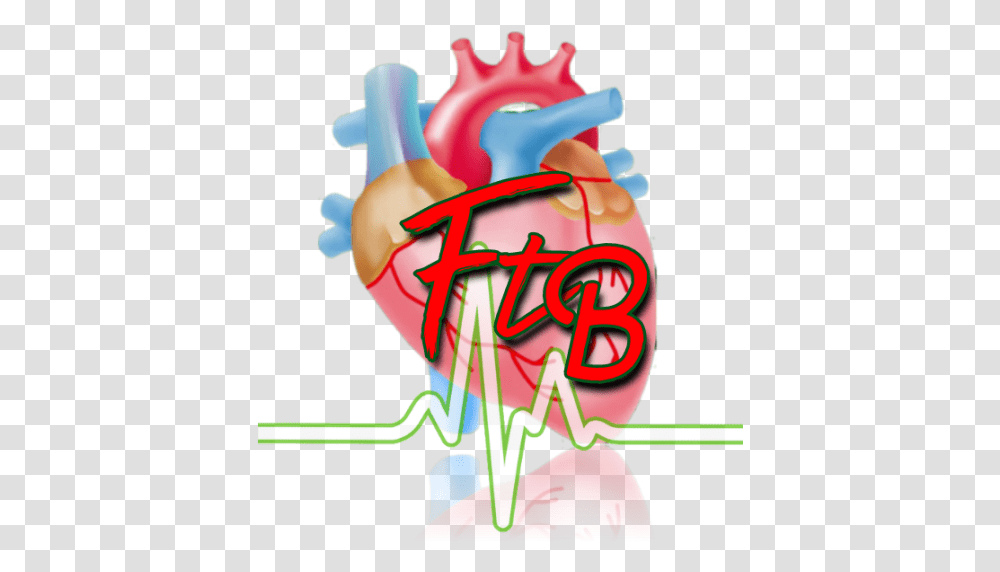 Biology Notes Archives Heart, Dynamite, Bomb, Weapon, Weaponry Transparent Png