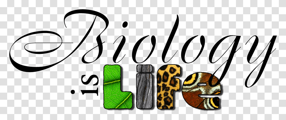 Biology Project Cover Page, Accessories, Accessory, Alphabet Transparent Png