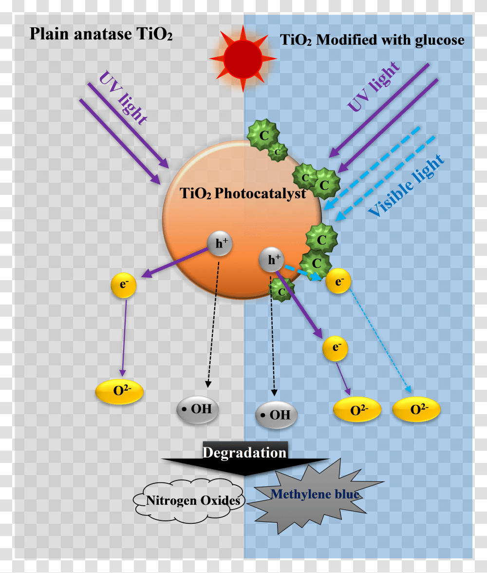 Biossido Di Titanio Fotocatalisi, Diagram, Network, Plot Transparent Png