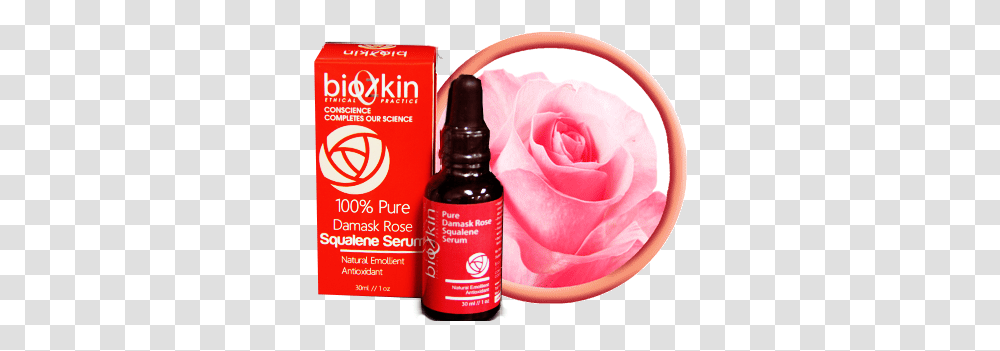 Biozkin Pure Damask Rose Squalene Serum Garden Roses, Plant, Flower, Blossom, Petal Transparent Png
