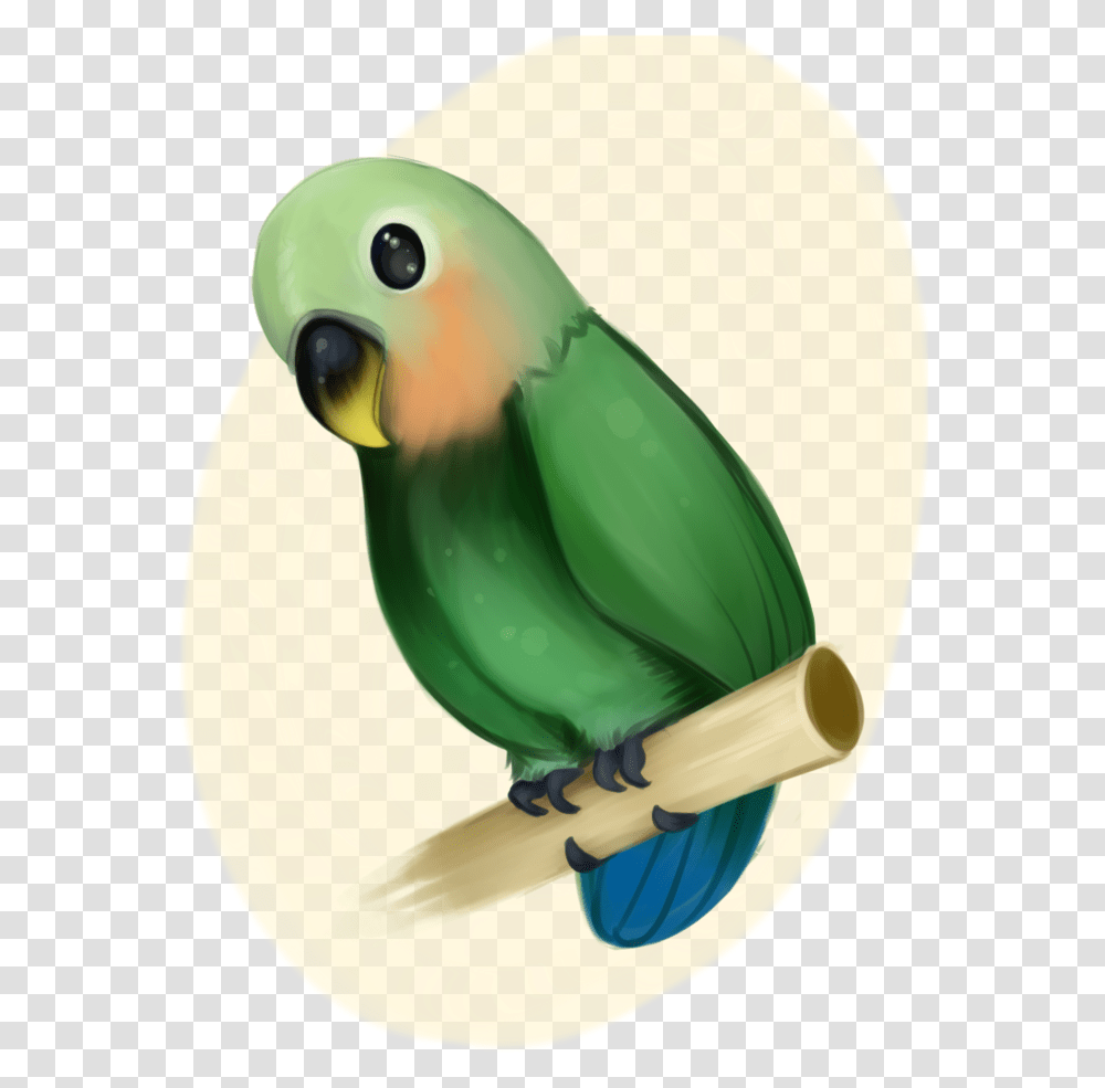 Birb Drawing Love Bird Huge Freebie Download For Powerpoint Green Peach Faced Lovebird Vector, Animal, Parrot, Helmet Transparent Png