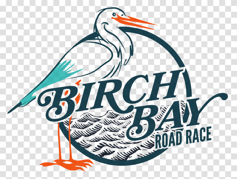 Birch Bay Road Race, Animal, Bird, Waterfowl, Light Transparent Png