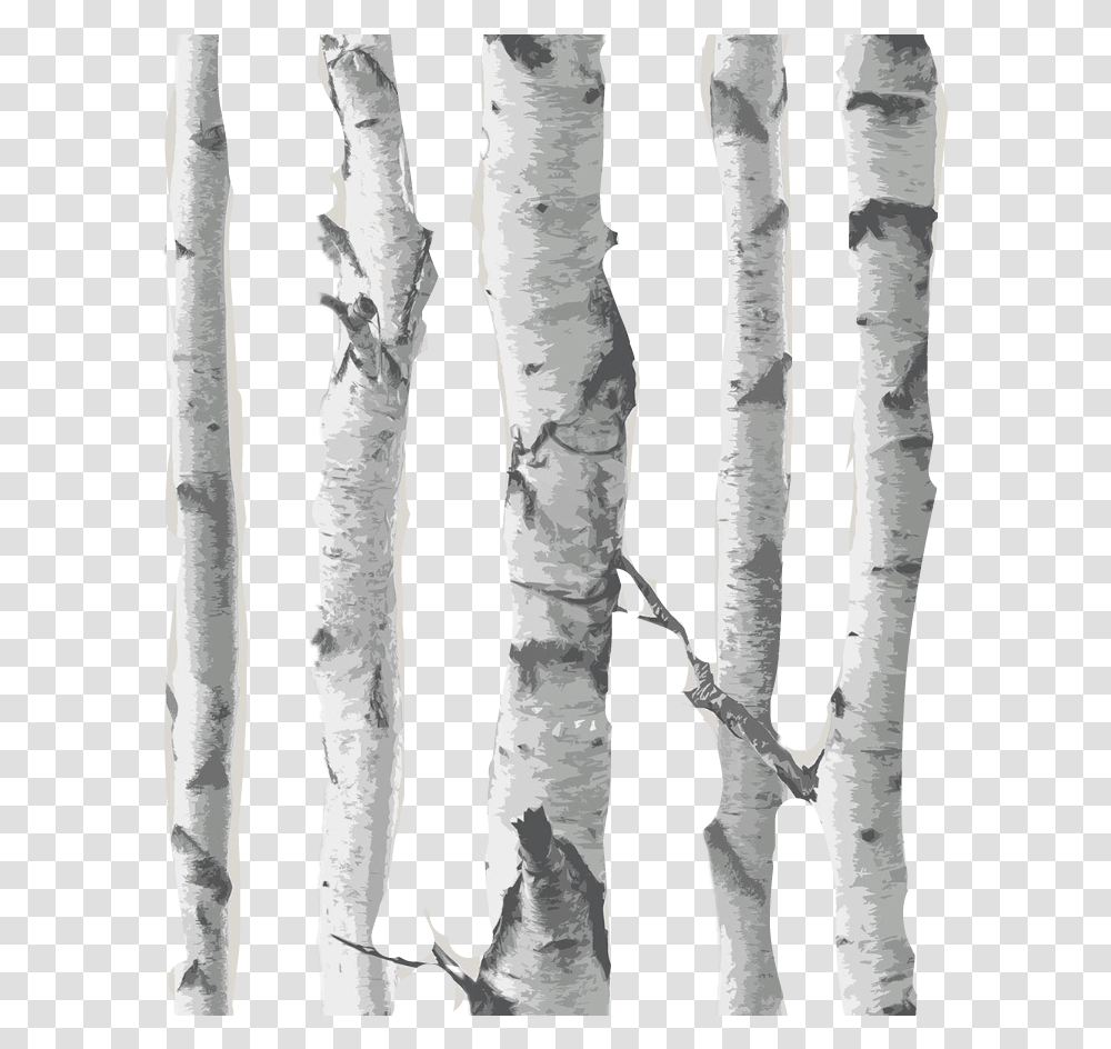 Birch Tree Clipart Birch Tree Background, Nature, Ice, Outdoors, Snow Transparent Png