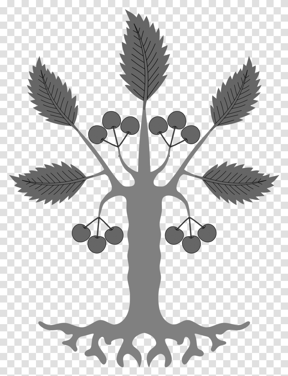 Birch Tree Clipart Heraldic Tree Design Logo, Plant, Leaf, Stencil, Flower Transparent Png