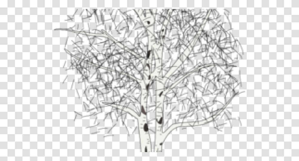 Birch Tree Clipart Silver Birch Tree Clipart, Bow, Plant, Linen, Home Decor Transparent Png