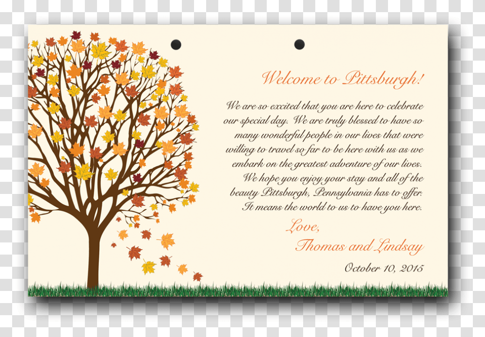 Birch Tree, Envelope, Mail, Greeting Card Transparent Png