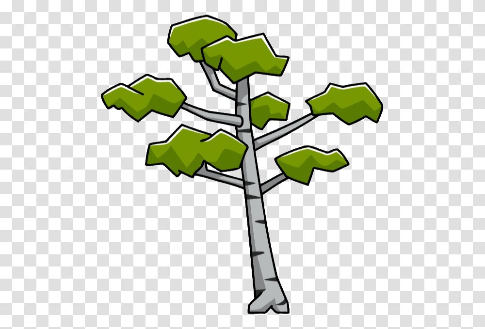 Birch Tree, Plant, Recycling Symbol, Jay Transparent Png