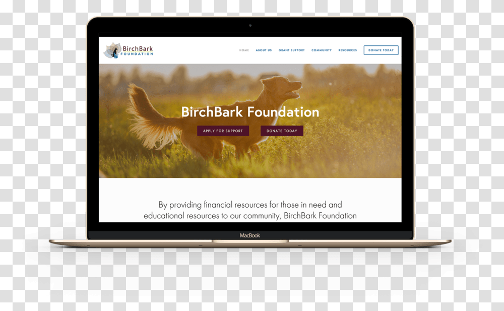 Birchbark Mac Home Website, Monitor, Screen, Electronics, LCD Screen Transparent Png