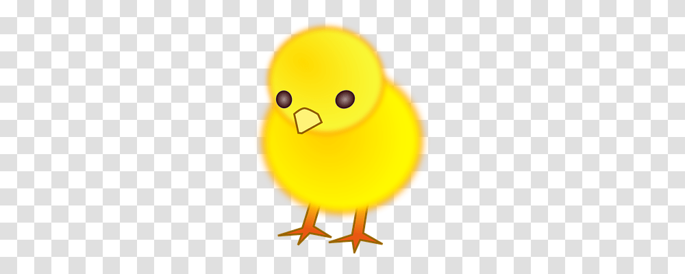 Bird Animals, Balloon, Poultry, Fowl Transparent Png