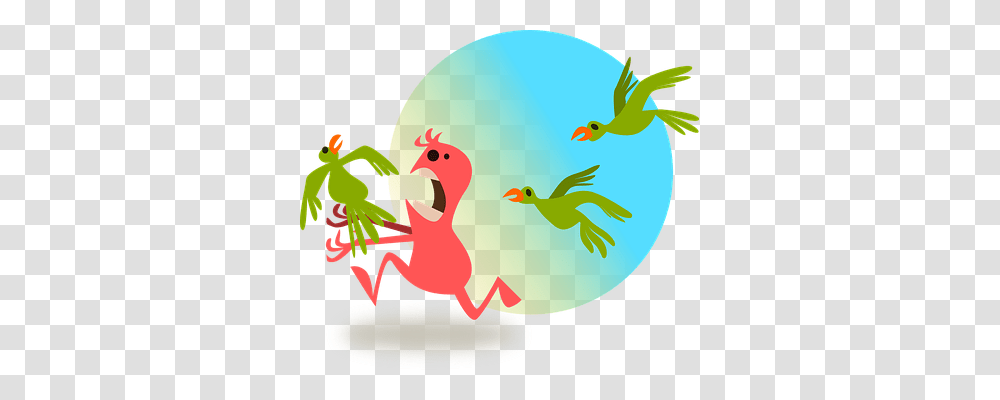 Bird Animals, Food, Egg, Easter Egg Transparent Png